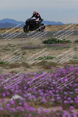 media/Jan-14-2023-SoCal Trackdays (Sat) [[497694156f]]/Turn 14 Exit Bloomig (145pm)/